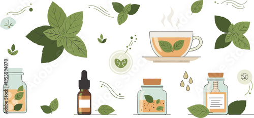 Herbal Tea and Natural Medicine Set with Mint Leaves Essential Oils Bottles and Organic Wellness Ingredients for Aromatherapy Illustration