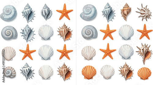 Seashell and Starfish Collection with Various Marine Shell Types Ocean Elements and Beach Summer Decoration Set for Coastal Design Illustration