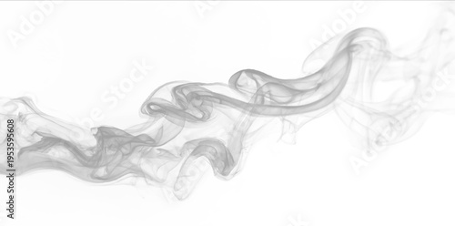 Curvy smoke ribbons with smooth flow, subtle blur, and delicate transparent layers. vector