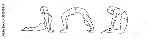 Three female yoga figures in line art showing upward dog, wheel, and camel poses.