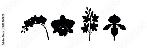 Four black silhouette orchid shapes in varied profiles representing different flower forms.