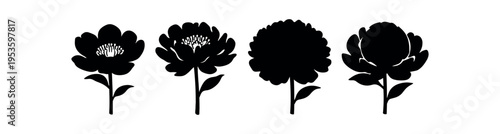 Four bold black silhouette flowers with stems, showing peony-like layered petals in a simple decorative style.