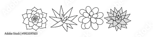 Four detailed outline line art succulent and agave drawings