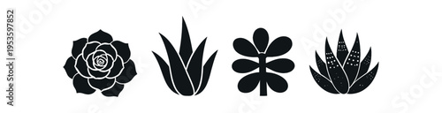 Four black silhouette succulent and agave icons in a row