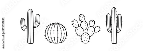 Four outlined cactus types including saguaro, barrel and prickly pear in a row