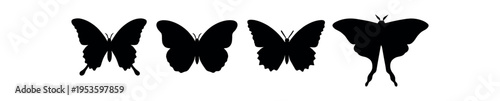 Four black silhouette butterflies and a moth arranged in a horizontal row