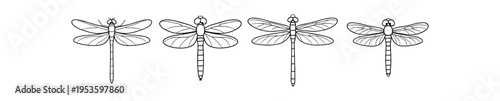 Four detailed dragonfly outline icons with visible wing veins and thin strokes