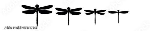 Four black dragonfly silhouettes in a row showing size variations
