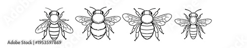 Four detailed line art bees showing anatomical stripes, wings and fuzzy bodies