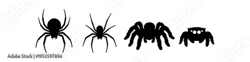 Four black spider silhouettes showing different species and stylized forms.