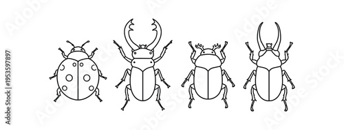 Four beetle outline icons with detailed legs and body segments in line art