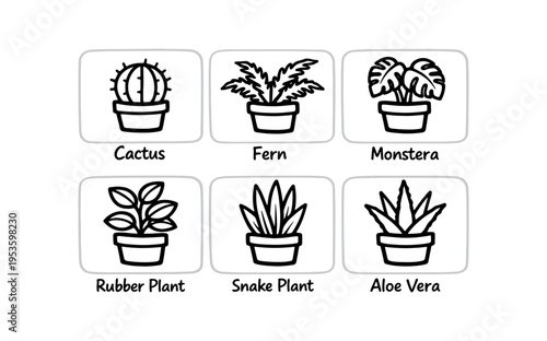 Six simple houseplant icons in rounded squares labeled cactus, fern, monstera, rubber plant, snake plant, and aloe vera