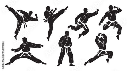 Karate Martial Arts Silhouette Postures For Fitness Concepts