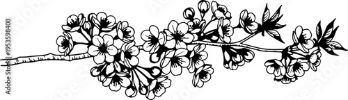 Elegant monochrome illustration of a blooming tree branch with delicate flowers, evoking spring's natural beauty and renewal