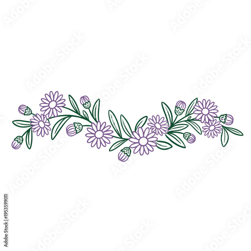 Hand drawn aster floral divider crayon marker botanical illustration