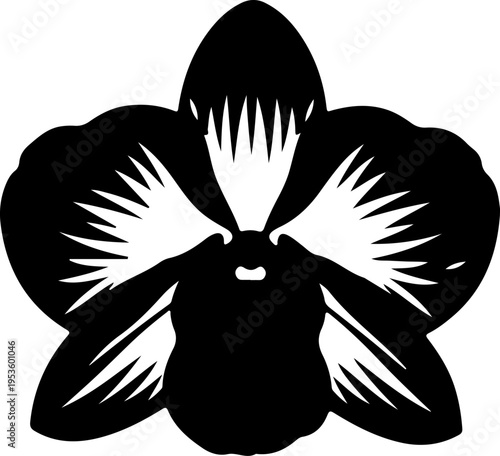 Stylized black and white orchid flower illustration with clear petal design