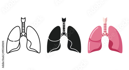 Human lungs anatomy icon set medical illustration - Clipart, logo template - Vector icon set - Glyph and solid icon set - Icon vector - Flat Design Icon - line icon set - Silhouette icon - Logo vector