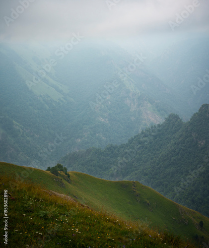 Mountain meadow with wildflowers and forested slopes in soft haze. Peaceful summer nature scene with layered terrain, muted light, and remote wilderness mood