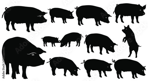 Collection of various domestic pig silhouettes featuring different poses and sizes in a black vector graphic