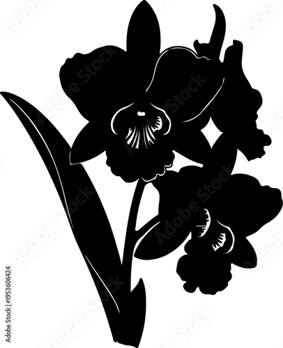 Elegant black silhouette of blooming orchid flowers, a classic botanical illustration for design projects and decor