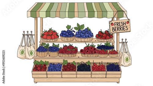 Fresh Berries Displayed at Fruit Stand.