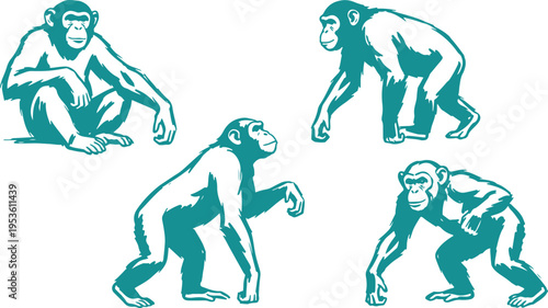 Chimpanzee Vector Set, Hand Drawn Primate Monkey Clipart Design, Wildlife Animal Line Art Illustration Collection.