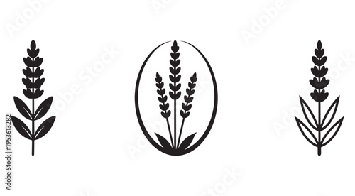 Black wheat icons in different shapes on white background  wheat silhouettes for food and agriculture concepts