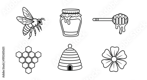 Bee honeycomb and honey illustrations.