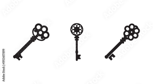 Three black antique keys with decorative floral heads and circular holes isolated on white background