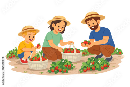Family harvest: caucasian adult and child picking strawberries on a sunny day.