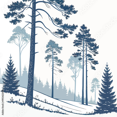 A forest with tall trees on a hillside
