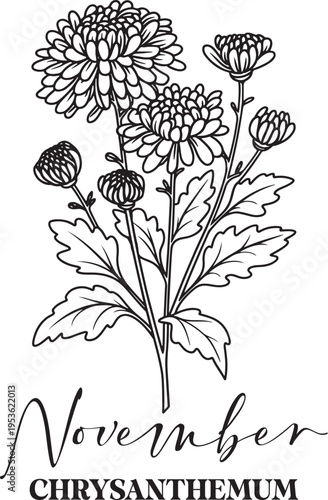 Birth Month Flowers Svg Png