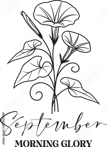 Birth Month Flowers Svg Png