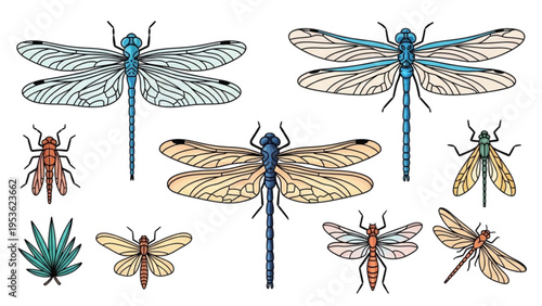 Dragonflies and insects gathered around a plant in a natural setting outdoors