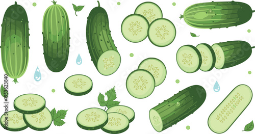 Set of realistic cucumbers with slices, leaves and water drops in fresh organic style detailed vector illustration collection