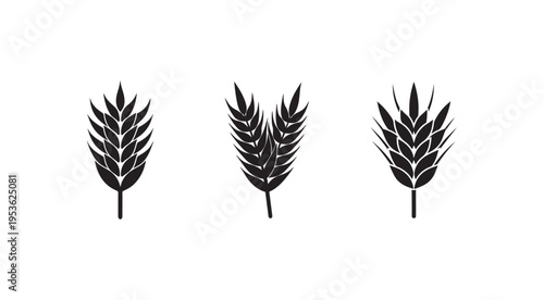 Black wheat ears silhouettes on white background  three wheat plants  cereal plants