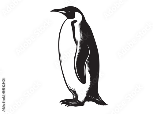 Isolated Emperor Penguin Illustration in Black and White Vector Art, Wildlife and Nature Symbol, White Background
