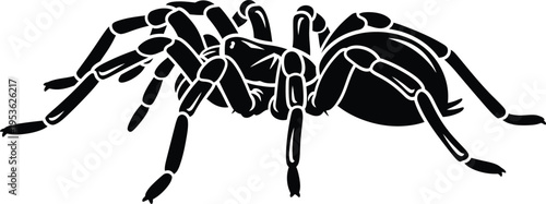 Black silhouette of a spider with eight legs on a white background
