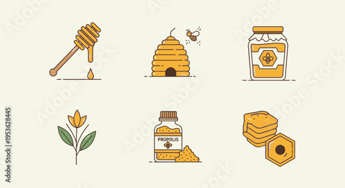 Honeycomb and bee related objects 3.
