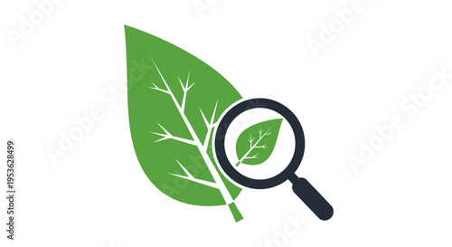 Magnifying glass over green leaf.