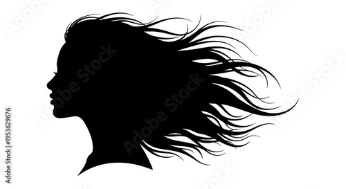 Silhouette of a woman with flowing hair in the wind.