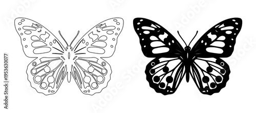 Cuadro en lienzo butterfly isolated on white background
