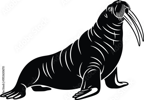 A black and white illustration of a walrus