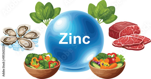 Zinc mineral sources with healthy food collection including meat oysters and vegetables