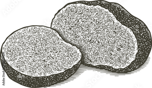 illustration of two half cut potatoes showing detailed texture and rough skin surface