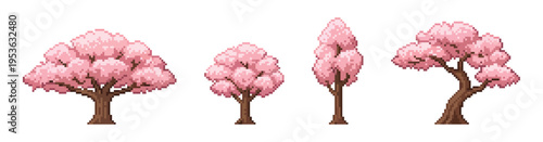 Sakura cherry blossom trees pixel art set isolated on white