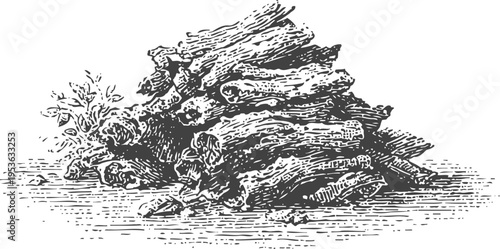 Pile of dry firewood stacked outdoors with rustic texture and natural wood grain