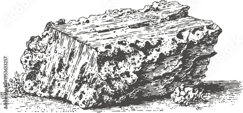 Ancient fossilized coral rock illustration, detailed black and white natural history engraving