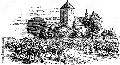 Rustic vineyard landscape with old stone farmhouse and tall trees in countryside scenery