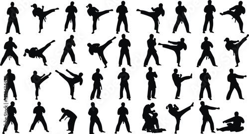 Martial arts silhouettes, fighting poses, self-defense art, combat techniques, black silhouette, dynamic movement, training practice, sports design, martial discipline